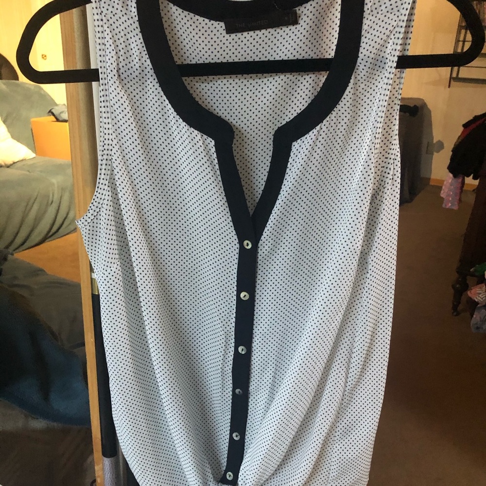 The Limited Blouse